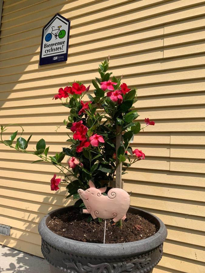Bed and Breakfast Manoir Alegria Cowansville Exterior foto