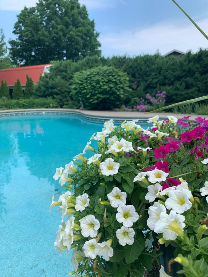 Bed and Breakfast Manoir Alegria Cowansville Exterior foto